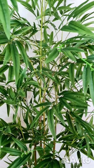 Бамбук искусственный, искусственное дерево