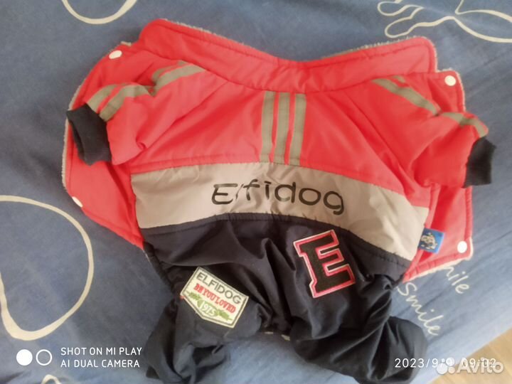 Комбинезон для собаки