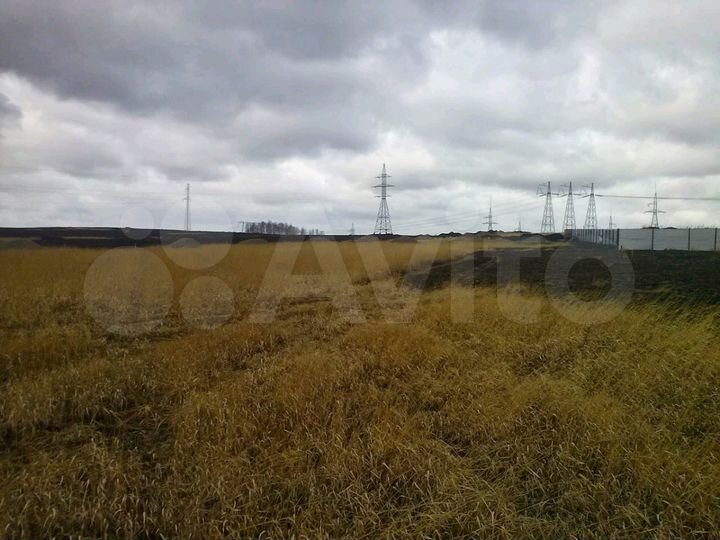 Участок 10 сот. (СНТ, ДНП)