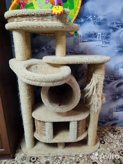 Когтеточка