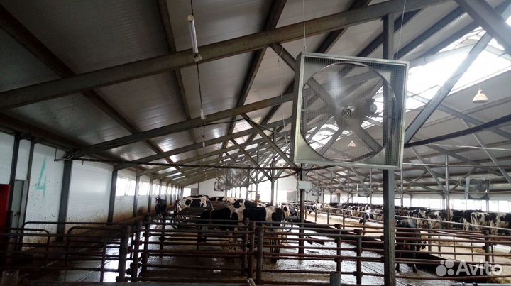 Разгонные и потолочные(горизонтальные) вентиляторы