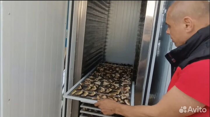 Сушильная пищевая камера промышленная
