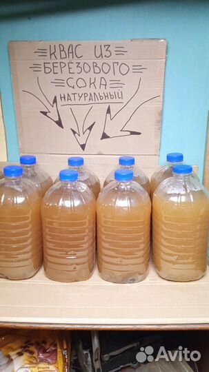 Квас из березового сока
