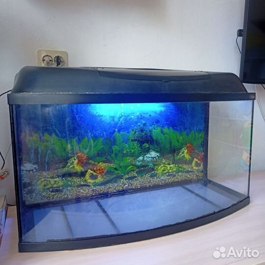 Аквариум