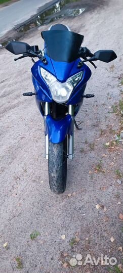 Racer skyway 250