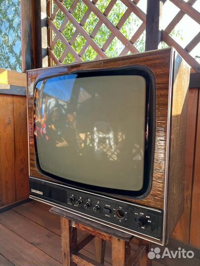 Телевизор Спектр