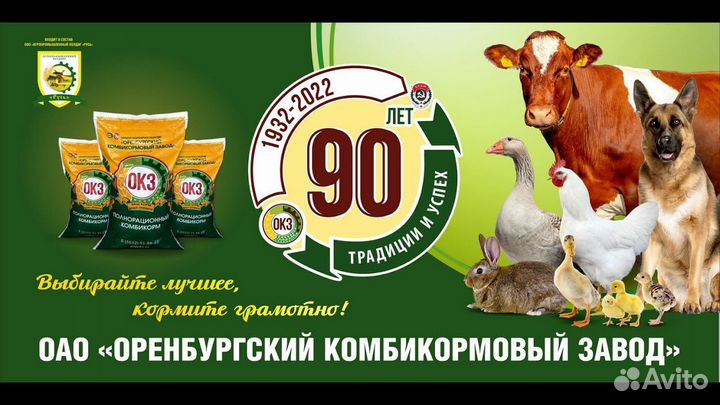 Комбикорм для кур несушек