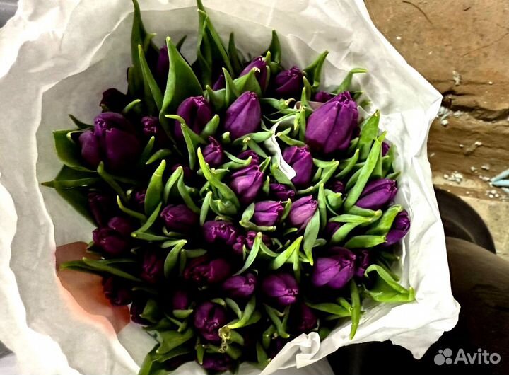 Тюльпаны крупные желтые голландские оптом в Москве