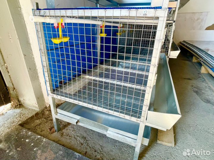 Клетки для кур, перепелов, кроликов
