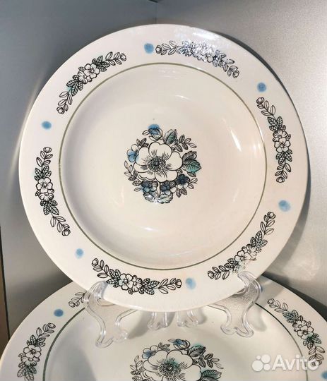 Тарелки зик яблоня, ежевика, роза СССР