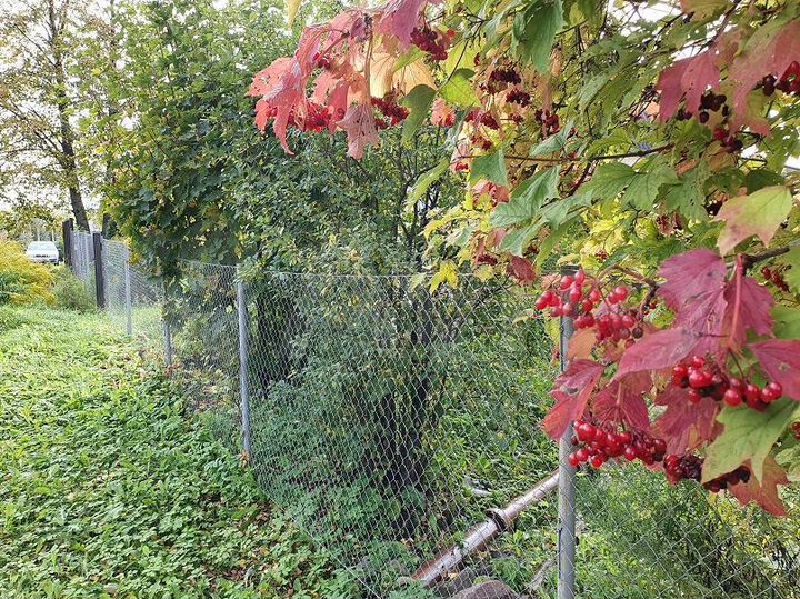 Дом 80 м² на участке 30 сот.