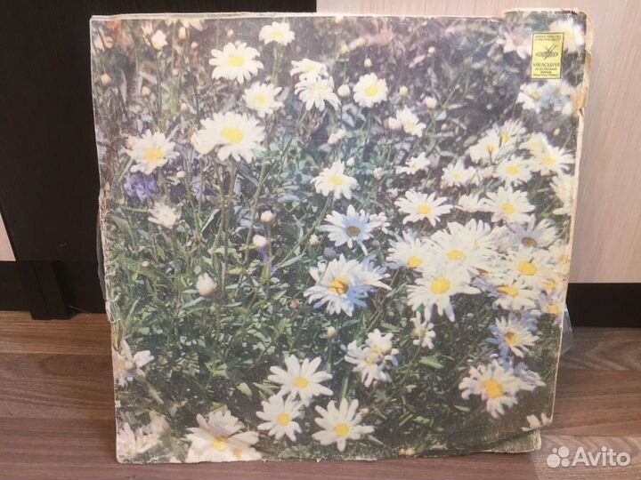 Мелодия и ритмы II виниловые пластинки