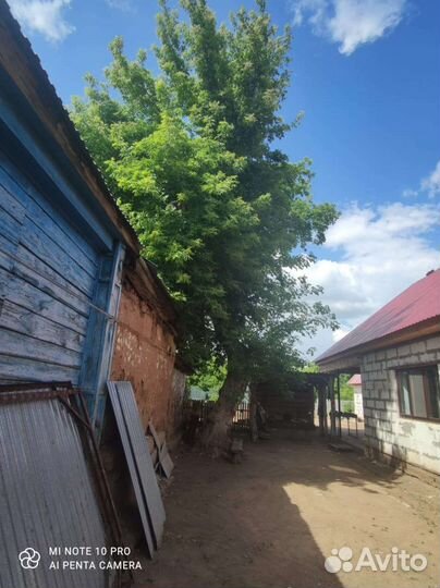 Спил деревьев, арборист