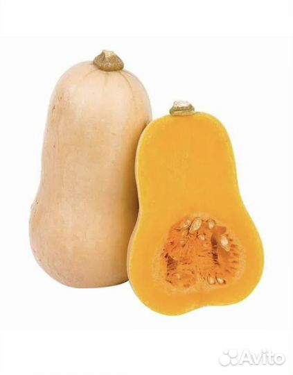 Семена мускатной тыквы