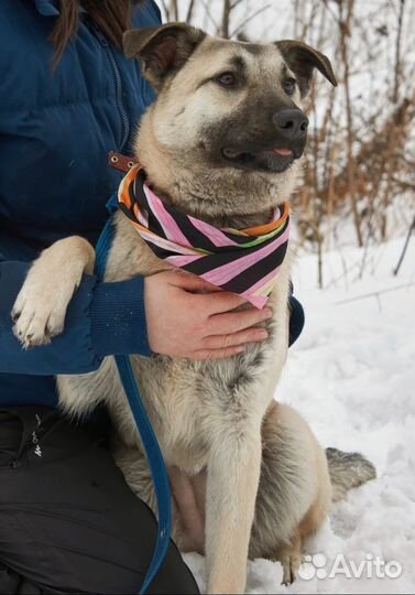 Всю жизнь в ожидании
