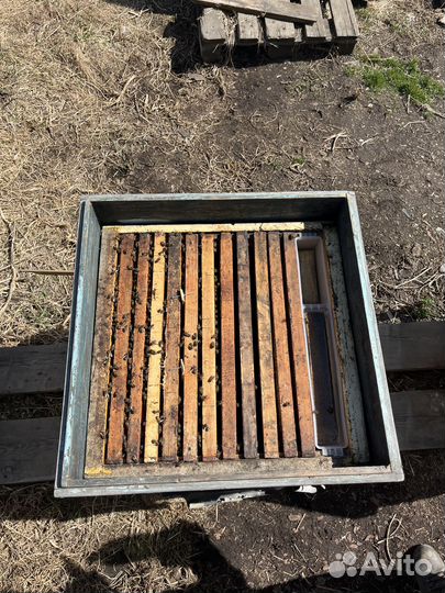 Продам пчелосемьи, Медогонку, Рамки