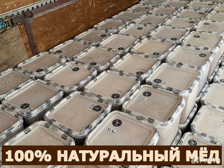 Мёд оптом с Алтая в Люберцах