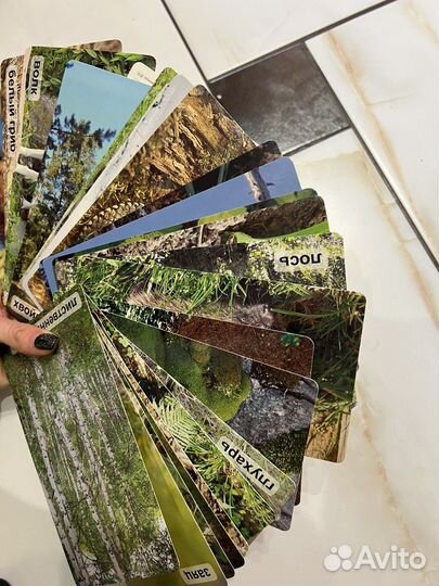 Карточки для детей умница