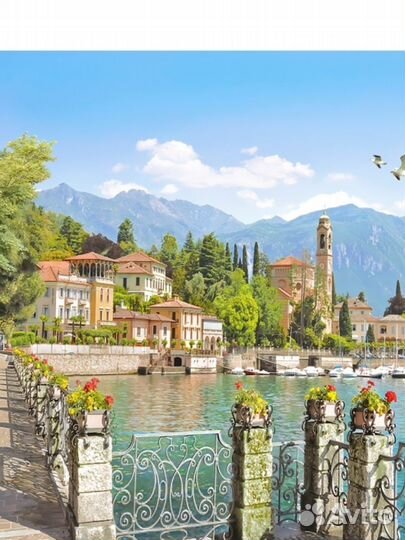 Фотообои флизелиновые 306x250 см