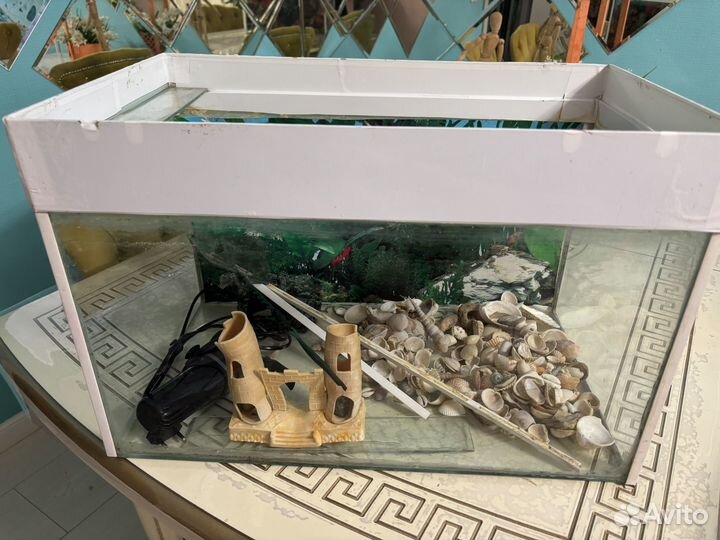 Аквариум
