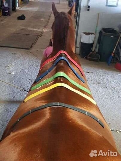 Седло: Подбор, Подгонка по лошади, Пошив по меркам