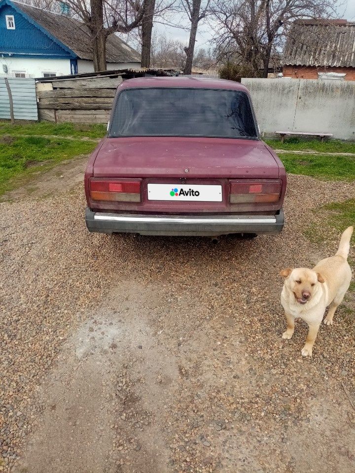ВАЗ (LADA) 2107: фото владельца