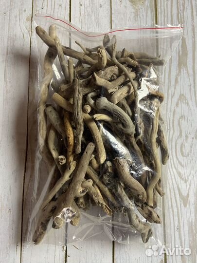 Коряги дрифтвуд