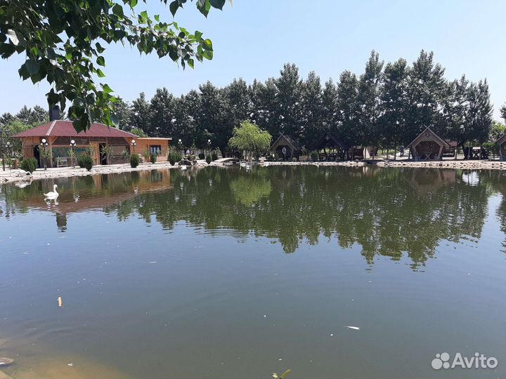 Пассажирские перевозки микроавтобус