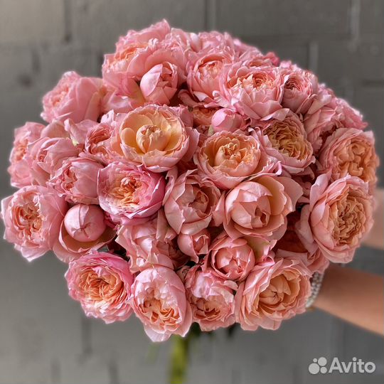 Кустовая пионовидная роза. Цветы доставка. пионы