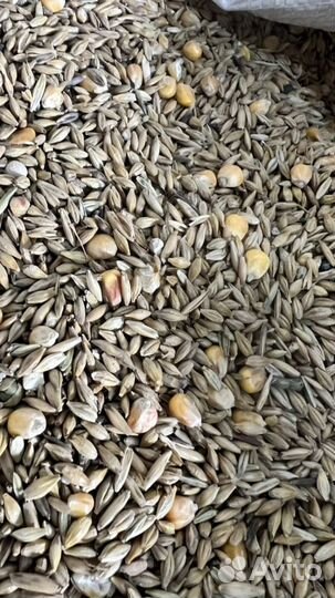 Комбикорм для с/х животных