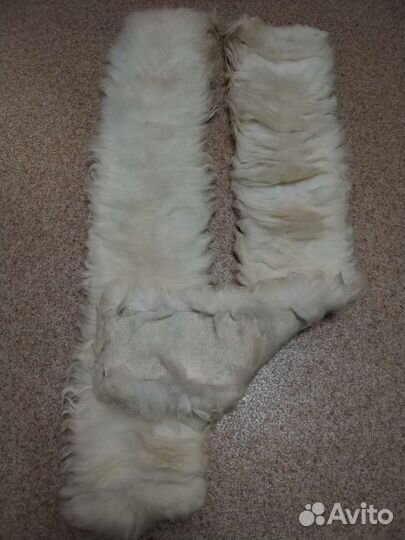 Шкурка животного