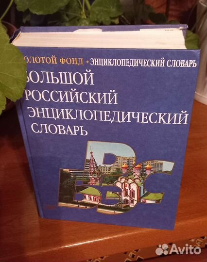 Большой российский энциклопедический словарь