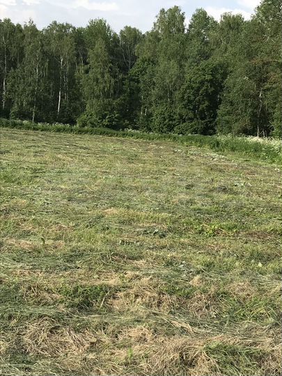 Участок 1,34 га (ИЖС)