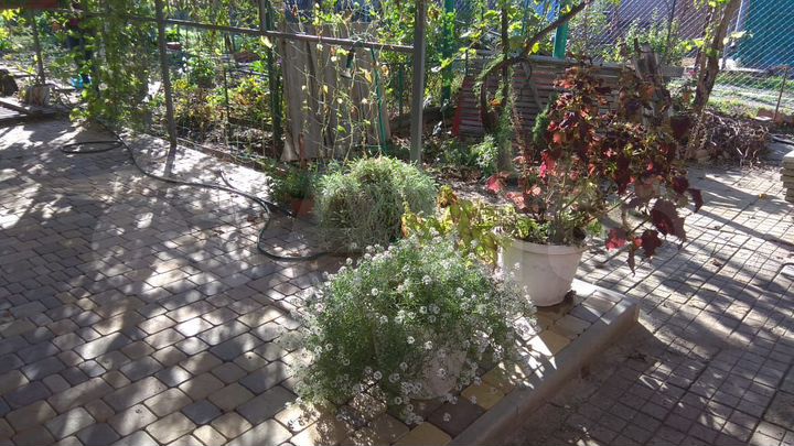 Дом 80,5 м² на участке 5,8 сот.