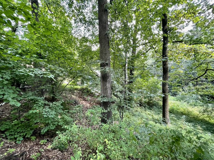 Участок 17,8 сот. (ИЖС)