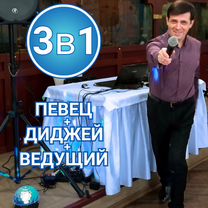 Певец на праздник с муз. аппаратурой, Ивантеевка