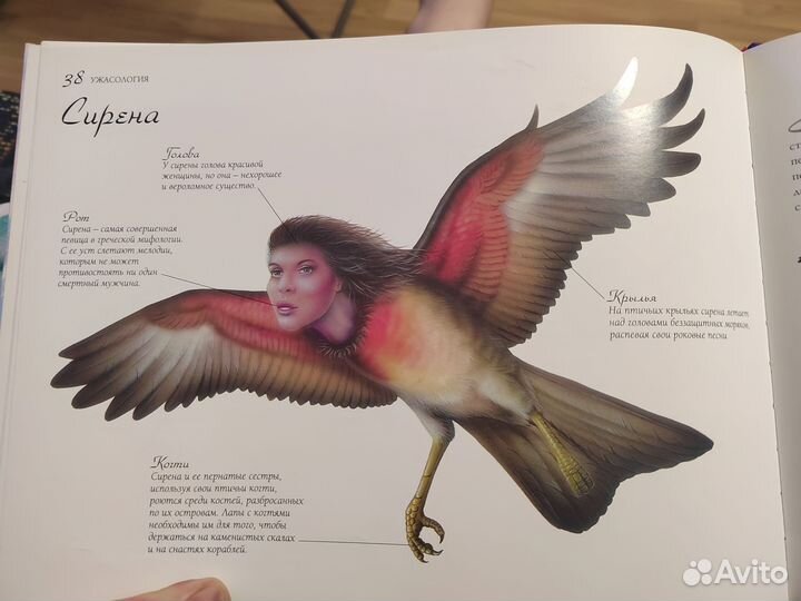 Энциклопедия для детей