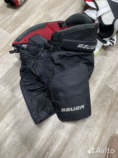 Bauer шорты