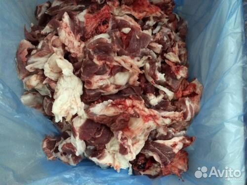 Мясо говядина на корм животным