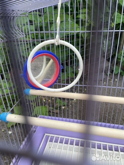 Клетка для птиц бу