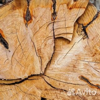 Сушка пиломатериала