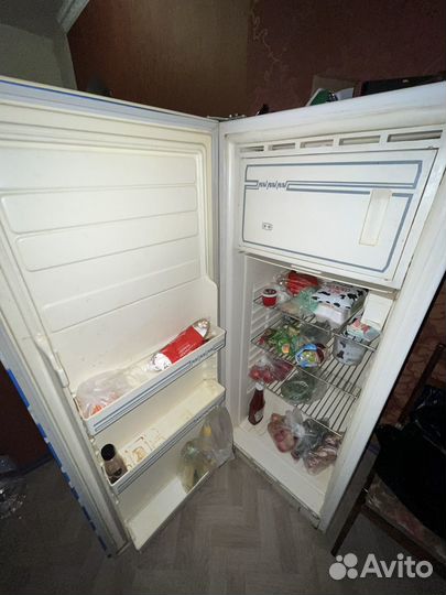 Холодильник Чинар