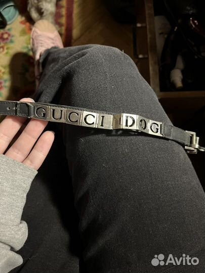 Ошейник gucci dog оригинал
