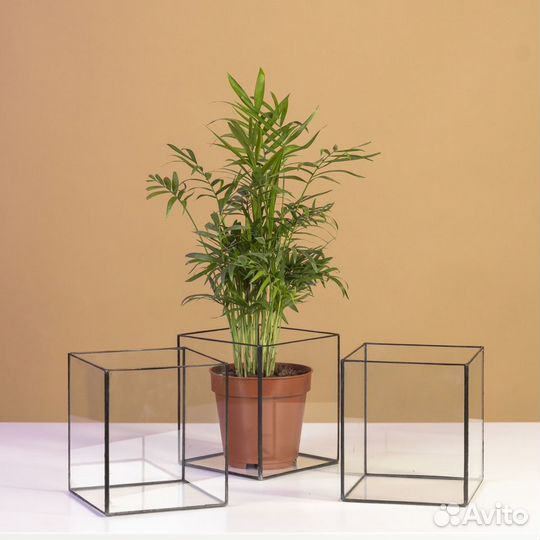 Флорариум кашпо квадратное