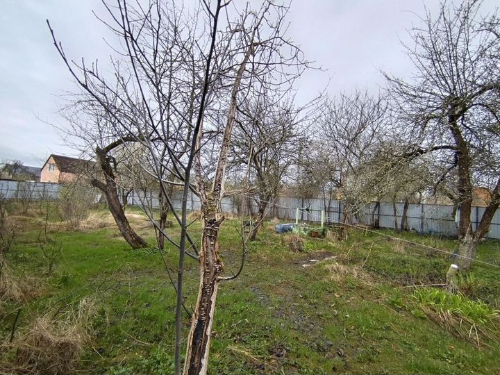 Участок 6,4 сот. (СНТ, ДНП)