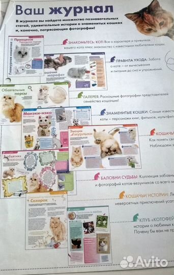 The Cat collection