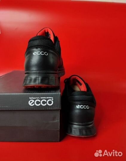 Ecco Biom