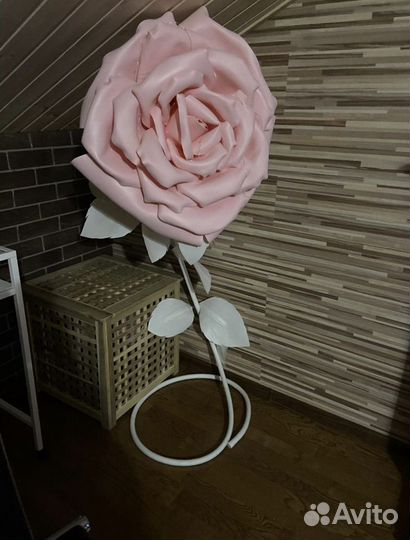 Интерьерная роза