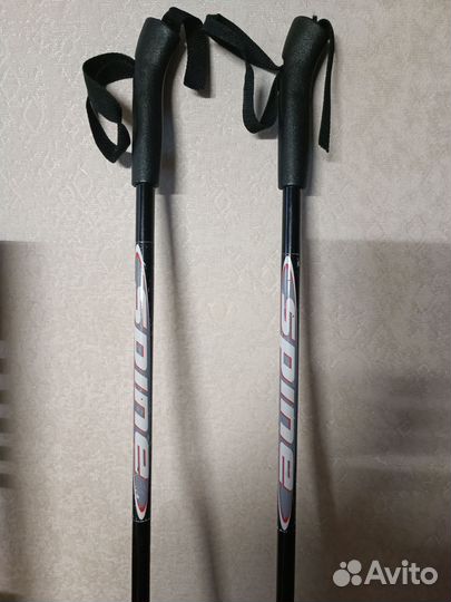 Лыжные палки