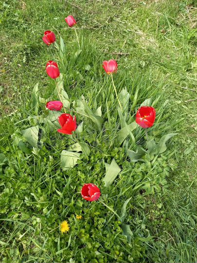 Дом 37,4 м² на участке 9 сот.